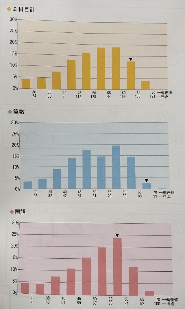 新3年/12月】SAPIX入室テストの結果が返却されました【平均点・偏差値・クラス分け】: 中学受験への処方箋